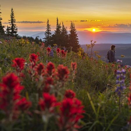 Fireside Lodge #409 By Bear Country Sun Peaks Exteriér fotografie