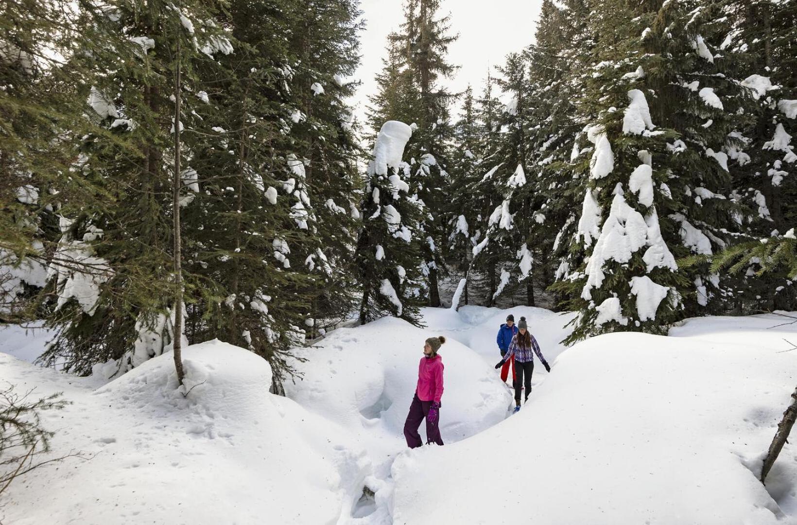 Fireside Lodge #409 By Bear Country Sun Peaks Exteriér fotografie